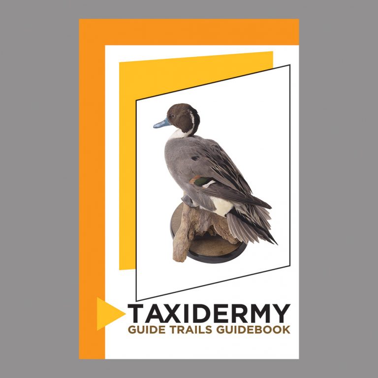 Taxidermy Guide Trails Guidebook Shop Cadets